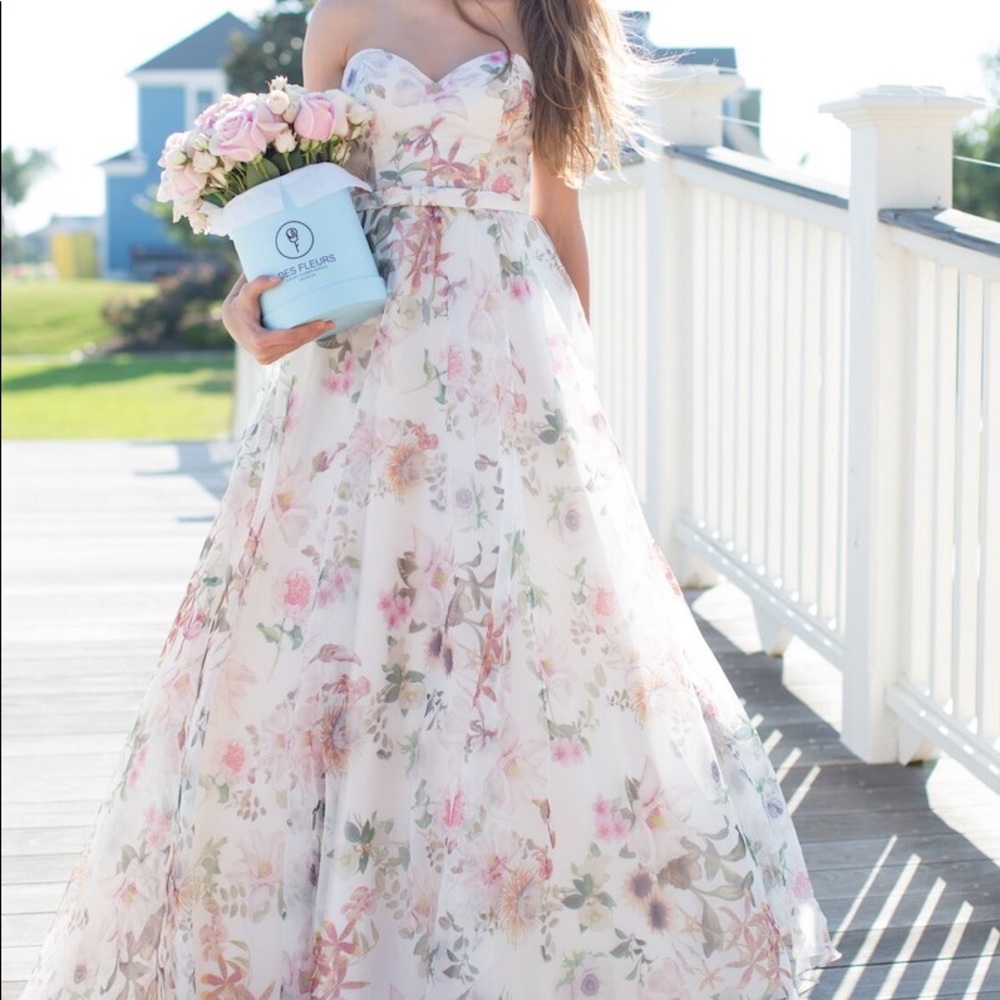 Beautiful Ball Prom Dress/ Gown (size small)